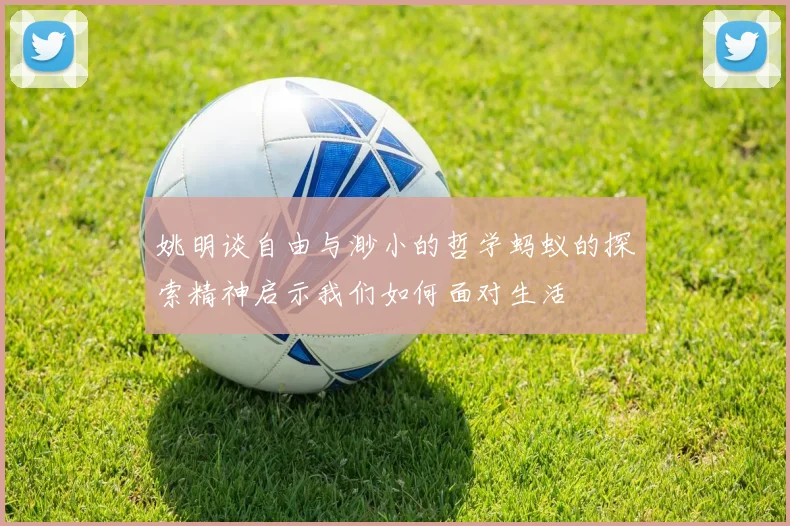 姚明谈自由与渺小的哲学蚂蚁的探索精神启示我们如何面对生活