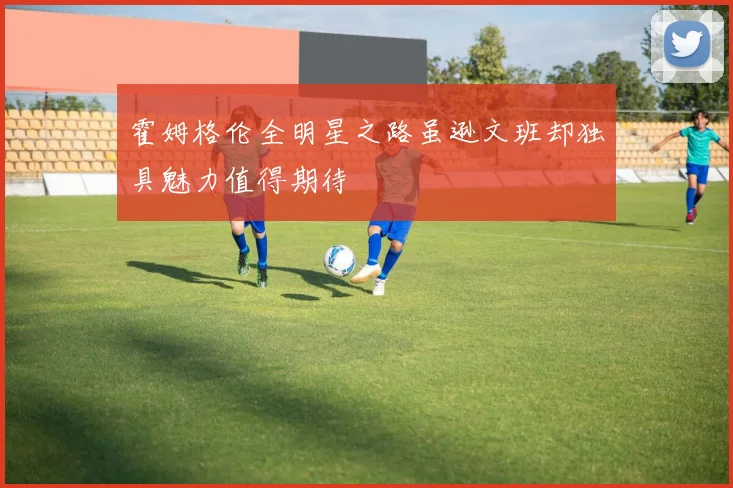 霍姆格伦全明星之路虽逊文班却独具魅力值得期待